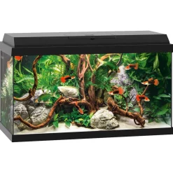 Juwel Aquarium Primo 60 - Aquaria - 61x31x37 cm Zwart Ca. 60 L