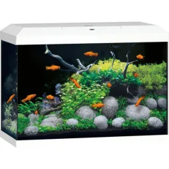 Juwel Aquarium Primo 70 2.0 62x32x41 cm - Aquaria