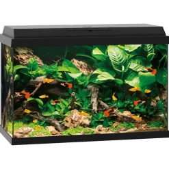 Juwel Aquarium Primo 70 61x31x44 cm - Aquaria