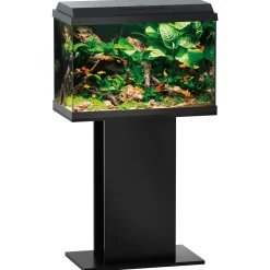 Juwel Aquarium Primo 70 61x31x44 cm - Aquaria