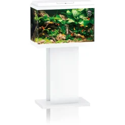 Juwel Aquarium Primo 70 61x31x44 cm - Aquaria