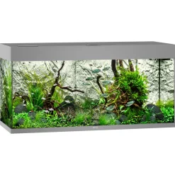 Juwel Aquarium Rio 180 Led 101x41x50 cm - Aquaria