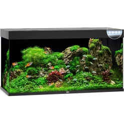 Juwel Aquarium Rio 350 Led 121x51x66 cm - Aquaria