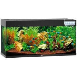 Juwel Aquarium Rio 240 Led 121x41x50 cm - Aquaria