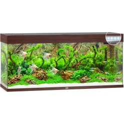 Juwel Aquarium Rio 240 Led 121x41x50 cm - Aquaria