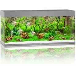 Juwel Aquarium Rio 240 Led 121x41x50 cm - Aquaria
