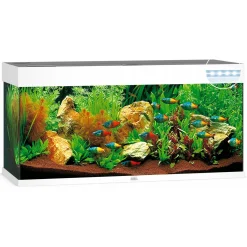 Juwel Aquarium Rio 240 Led 121x41x50 cm - Aquaria