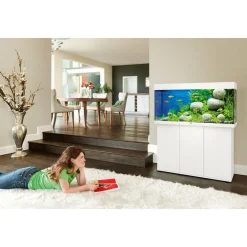 Juwel Aquarium Rio 240 Led 121x41x50 cm - Aquaria