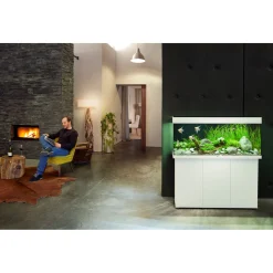 Juwel Aquarium Rio 240 Led 121x41x50 cm - Aquaria