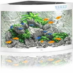 Juwel Aquarium Trigon 190 Led 70x70x60 cm - Aquaria