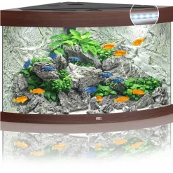 Juwel Aquarium Trigon 190 Led 70x70x60 cm - Aquaria