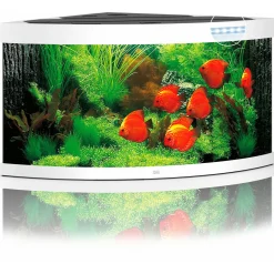Juwel Aquarium Trigon 350 Led 123x87x65 cm - Aquaria