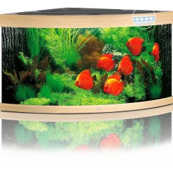 Juwel Aquarium Trigon 350 Led 123x87x65 cm - Aquaria