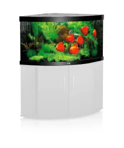 Juwel Aquarium Trigon 350 4x24/45w - Aquaria - 123x87x65 cm Zwart Ca. 350 L