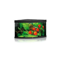 Juwel Aquarium Trigon 350 4x24/45w - Aquaria - 123x87x65 cm Zwart Ca. 350 L