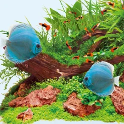 Juwel High-Lite Day - Verlichting