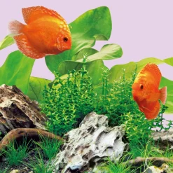 Juwel Led Lamp Color 4425k - Verlichting