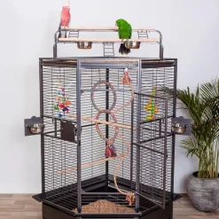 Keddoc Papegaaienkooi Louisiana - Vogelverblijven - 92x81.5x156 cm Donkergrijs