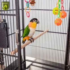 Keddoc Vogelkooi Alaska - Vogelverblijven - 86x55x164 cm Donkergrijs