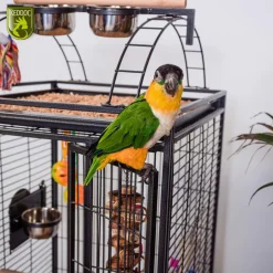 Keddoc Vogelkooi Denver - Vogelverblijven - 50x50x154 cm Donkergrijs