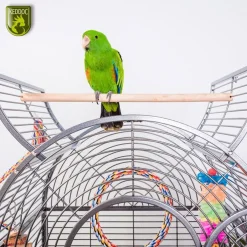 Keddoc Vogelkooi Texas - Vogelverblijven - 66x56x175 cm Donkergrijs