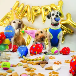 Kong Birthday Ballen - Hondenspeelgoed - Rood Blauw Medium