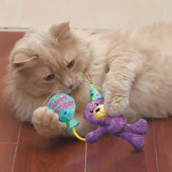 Kong Birthday Teddy - Kattenspeelgoed -