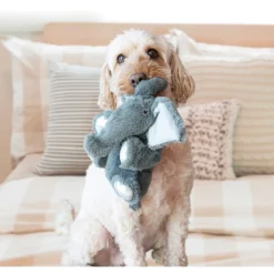 Kong Comfort Kiddos Elephant - Hondenspeelgoed - Small