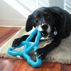 Kong Flyangle - Hondenspeelgoed - 26.5x26.5 cm Large