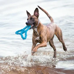 Kong Flyangle - Hondenspeelgoed - 26.5x26.5 cm Large