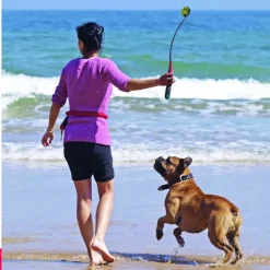 Kong Handipod Launcher Met Poepzakjes - Hondenspeelgoed - Zwart Rood