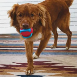 Kong Jaxx Brights Ball - Hondenspeelgoed - Ø6.4 cm Large