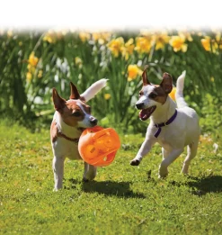 Kong Jumbler Ball Assorti - Hondenspeelgoed