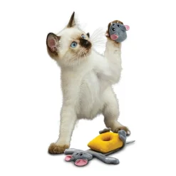 Kong Pull-A-Partz™ Cheezy - Kattenspeelgoed -