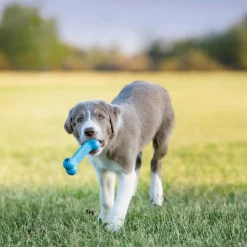 Kong Puppy Goodie Bone - Hondenspeelgoed