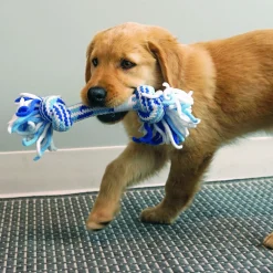 Kong Rope Stick Puppy - Hondenspeelgoed - 29 cm Medium