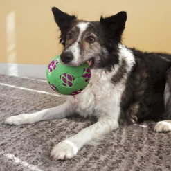 Kong Sneakerz Sport Soccer Ball - Hondenspeelgoed - Ø11.5 cm Medium