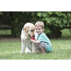 Kong Speeltje Classic Rood - Hondenspeelgoed