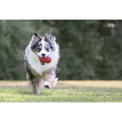 Kong Speeltje Classic Rood - Hondenspeelgoed