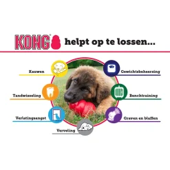 Kong Speeltje Puppy Assorti - Hondenspeelgoed