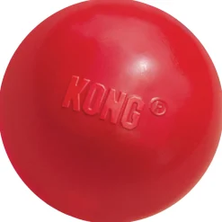 Kong Speeltje Rubber Bal Rood - Hondenspeelgoed