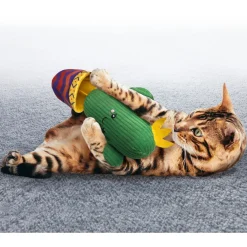 Kong Wrangler Cactus - Kattenspeelgoed -