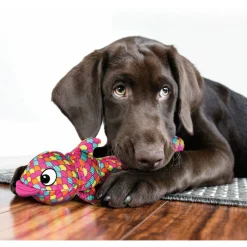 Kong Wubba Finz - Hondenspeelgoed