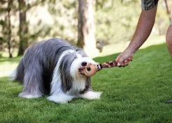 Kong Wubba Floppy Ears Assorti - Hondenspeelgoed