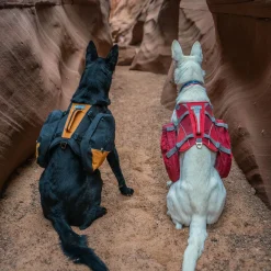 Kurgo Big Baxter Hondenrugzak - Hondendraagzak - Rood 22.5 Tot 50 Kg