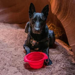 Kurgo Collaps A-Bowl - Opvouwbare Reisvoerbak - Hondenvoerbak