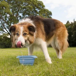 Kurgo Collaps A-Bowl - Opvouwbare Reisvoerbak - Hondenvoerbak