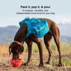 Kurgo Collaps A-Bowl - Opvouwbare Reisvoerbak - Hondenvoerbak