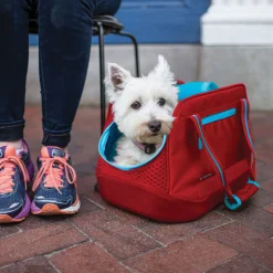 Kurgo Explorer Carrier - Hondenautoaccessoire - 46x25x25 cm Rood Blauw S