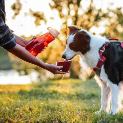 Kurgo Gourd Water Bottle - Hondendrinkbak